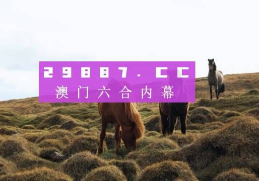 澳门一肖一码准选一码2023年,澳门一肖一码准选一码，探索与解析（2023年）