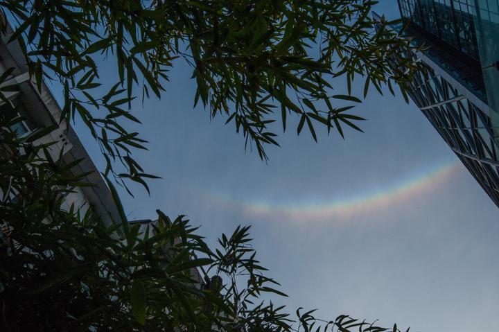 天下天空彩免费资料大全百度,天下天空彩免费资料大全百度，探索与解读