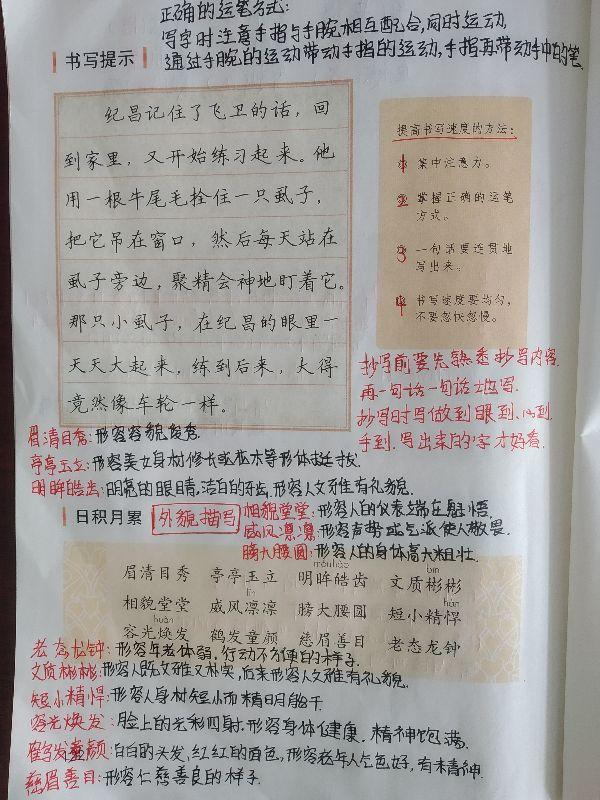 四肖八肖期期准资料精选,四肖八肖期期准资料精选，揭秘精准预测的秘密