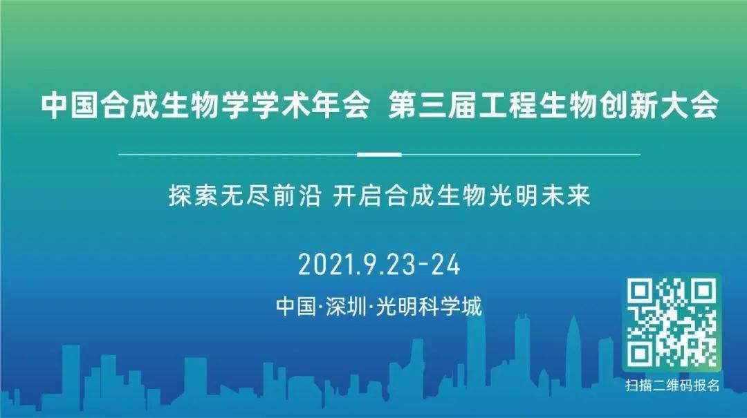 2025新澳免费资料40期,探索未来之门，新澳免费资料四十期展望与深度解析（2025年）