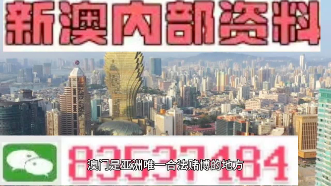 4949澳门精准免费大全2023,澳门精准免费大全2023，探索数字彩票的魅力与挑战