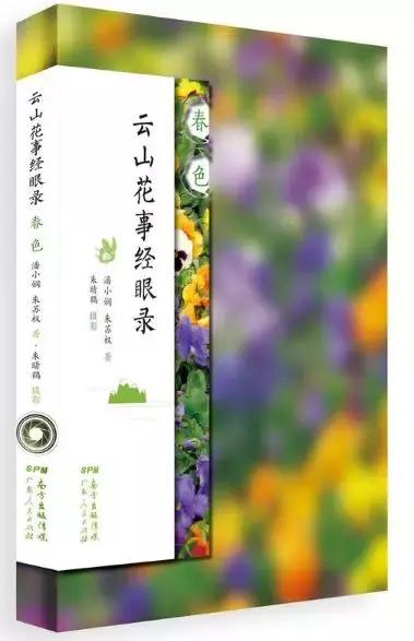 新澳门天天彩正版免费进入方法,新澳门天天彩正版免费进入方法及其相关探讨