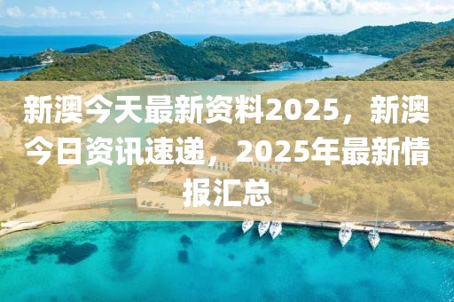 2025新澳最快最新资料,探索未来，2025新澳最快最新资料概览