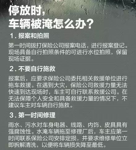 白小姐今天晚上特马开什么号,白小姐今晚特马开什么号，深度解析与预测